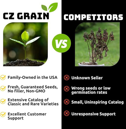 All by Grace Willow Bonsai Tree - Thick Trunk Cutting, Fast Growing