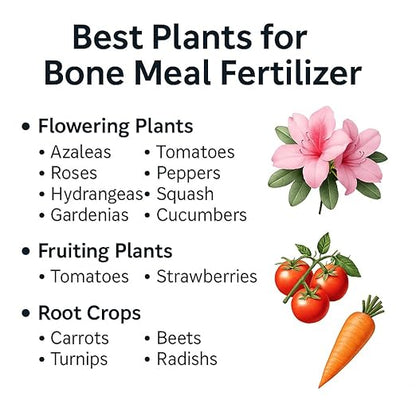 𝐁𝐄𝐒𝐓𝐒𝐄𝐋𝐋𝐄𝐑 Organic Bone Meal Fertilizer by Gardenera (4-12-0 NPK) All-Natural Plant Food Source of Nitrogen and Phosphorus for Bulbs, Gardens, Potted Plants, Trees, and Shrubs [16 OZ]