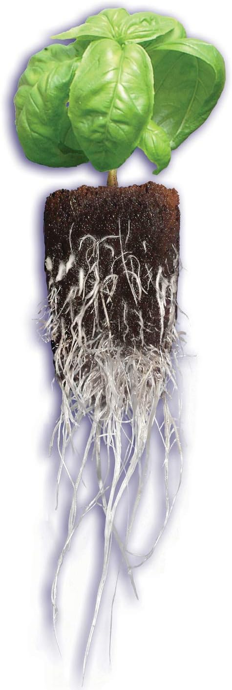 General Hydroponics GH3253 Rapid Rooter Replacement Plugs 50 Count