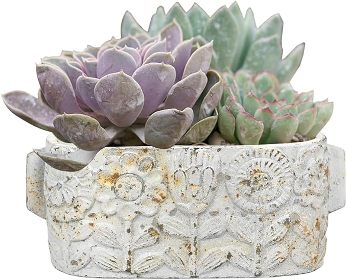 8 inch Pots Planters Indoor Plants Succulent Pots Rectangle Window Box Cactus Plant Containers for Home Decor(No Drainage)