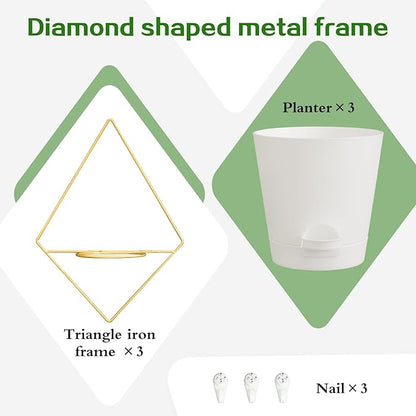 3 Sets Wall Planters for Indoor Plants Geometric Hanging Planters for Indoor Plants - Self-Watering Flower Pots with Black Metal Holder, Mounted Succulent Planter, 5" Black Plant Pot