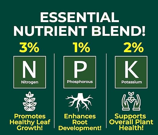 Gardenera Professional Avocado Spray Fertilizer Mist for Home Gardening | 3-1-2 Gentle Blend Mist for Healthy Leaves & Growth | Essential Nutrients for Avocados - 8oz