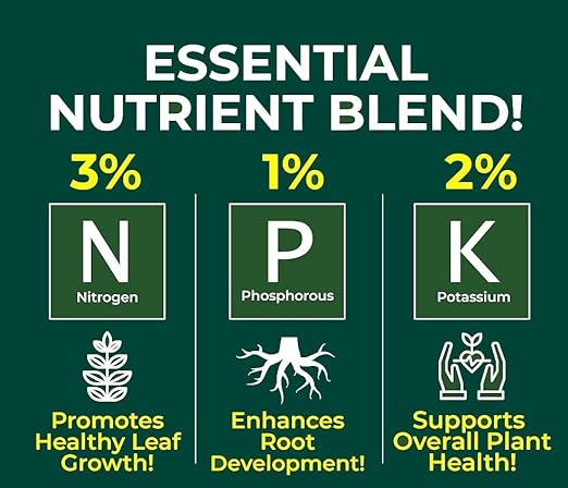 Gardenera Proffesional Thai Constellation Spray Fertilizer Mist for Home Gardening | 3-1-2 Gentle Blend Mist for Healthy Leaves & Growth | Essential Nutrients for Thai Constellations - 8oz