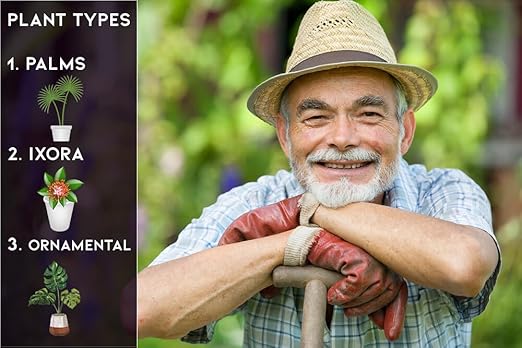 Premium 8-4-8 Professional Palm Tree Fertilizer Plant Food |Indoor Potted Plants and Outdoor Landscape Palm Trees | Quick-Release Nitrogen Fertilizer and Continuous Feeding (3 Quarts)