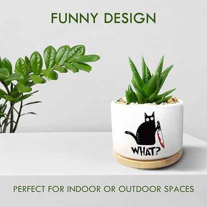 Funny Black Cat Plant Pot for Succulent, Cactus Flower Planter for Indoor Plants, Unique Succulents Pots with Drainage, Cats Owner Gifts, Home Desk Decor Planter Gift for Cat Lover (No Plants)