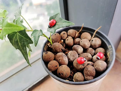 Fairy Garden Accessories Miniatures Sculptures Statues,Yard Decor for Outside Gnomes Outdoor Decor for Patio Zen