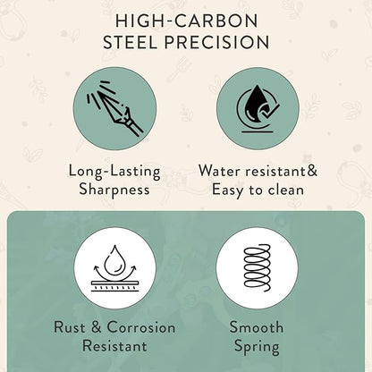 Modern Sprout Pruning Shears, Herb Snipping Scissors, Lightweight Gardening Tools W/Easy Lock, Flower Cutter Garden Shears, Carbon Steel Blade + Reusable Holster (Green, 1-Pack)