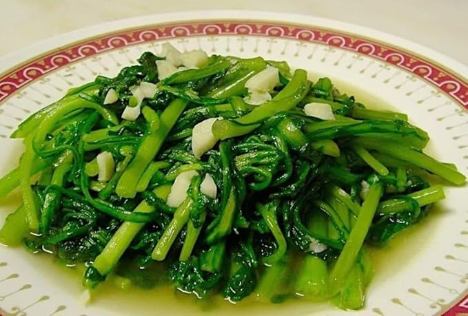 100PCS Garland Chrysanthemum Seeds Edible Tung Ho Annual Crowndaisy Vegetable Seeds Heirloom