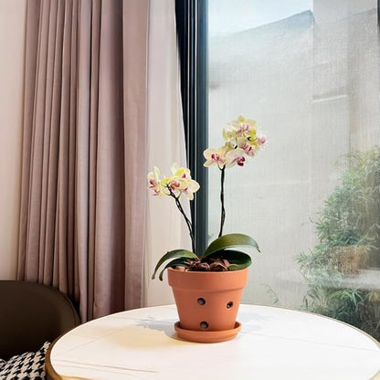 Clay Orchid Pots with Holes,Terracotta Orchid Pots with Drainage Holes & Saucer for Repotting 6 Inch, Orchid Planters for Indoor Plants