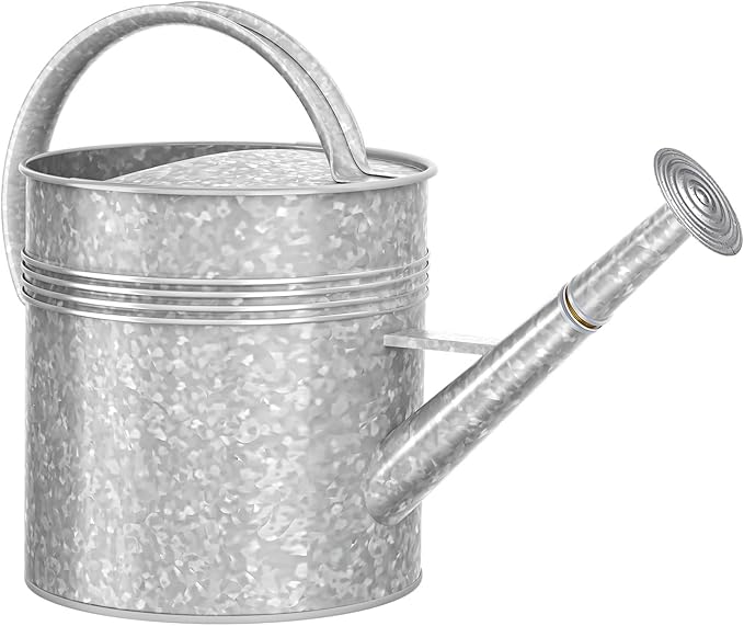Galvanized Iron Watering Can for Indoor Plants, Oval Watering Cans for House Plant Garden Flower, Long Spout Water Can for Outdoor Watering Plants 9.46L 2.5 Gallon
