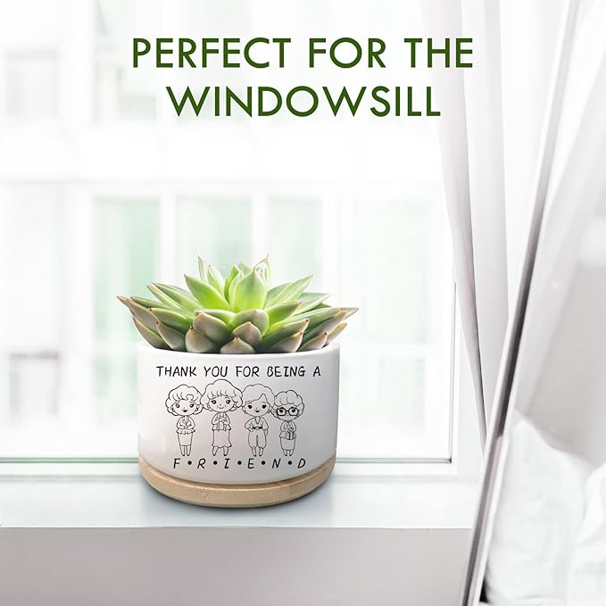 Friend Gift for Women, Golden Merchandise, Succulent Plant Pot, Cactus Flower Planter, Friendship Thank You Gift for Women Friends Bestie Soul Sisters, Thank You for Being A Friend (No Plants)