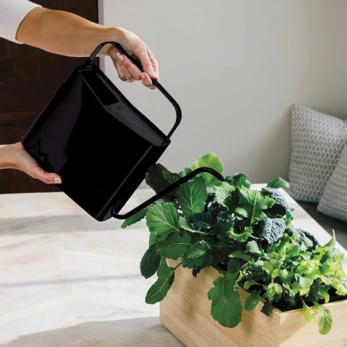 Modern Sprout Brass Finish Plant Watering Can - 3L Capacity - Long Spout Stainless Steel Vessel for Outdoor & Indoor Plants - Rust Resistant - Garden Accessory for Houseplants & Decorative Use (Black)