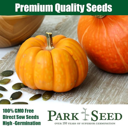 Park Seed Dill's Atlantic Giant Pumpkin Seeds – Non-GMO, World Record Giant Pumpkin Variety, Grows Up to 500 lbs or More, Heirloom for Competition or Display, Pack of 10