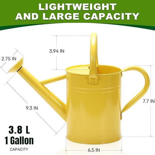Metal Watering Can with Removable Spout, Galvanized, Perfect for Indoor and Outdoor Use (1 Gallon, Yellow)