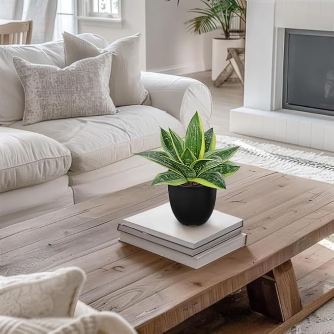 Hollyone Artificial Snake Plants 9" Faux Agave Succulent Plant Potted in Black Pot Fake Sansevieria Aloe Tropical Plant for Desk Modern Office Home Bathroom Indoor Outdoor Decor