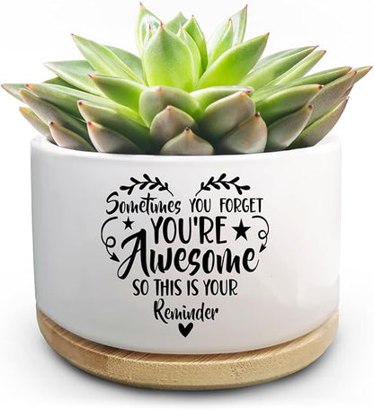 Thank You Gifts for Women, Funny Succulent Plant Pot, Cactus Flower Planter Gifts, Appreciation Inspirational Farewell Going Away Gifts for Women Men Boss Lady Manager Coworkers (No Plants)
