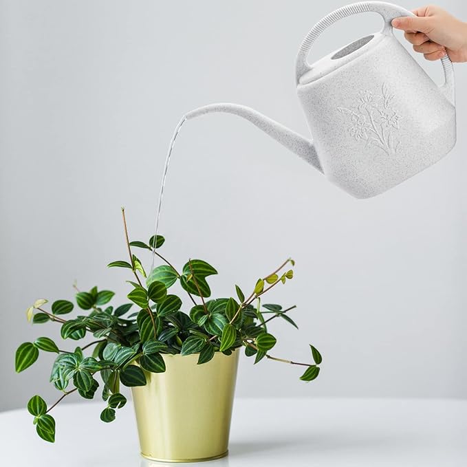 Fasmov 1-Gallon Plastic Watering Can with Comfortable Handle, Garden Watering Cans Long Spout for Indoor Outdoor Watering Plants (Gray White)