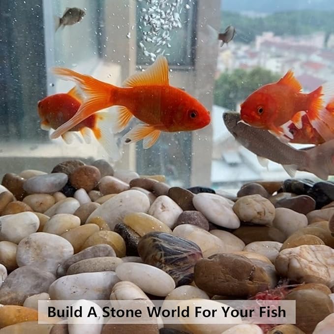 White Pebbles for Indoor Plants, Natural Polished River Rocks, Small Decorative Stones for Planters Vase Fish Tank Aquariums Landscaping Garden, 2lbs