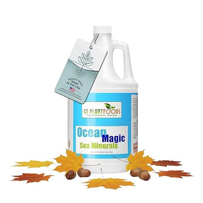Ocean Magic Sea Mineral Fertilizer by GS Plant Foods(1 Gallon) - Soil Mineral Health Improvement Liquid Concentrate - Sea Minerals for Lawn and Turf, Gardens & House Plants