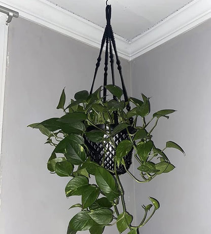43 Inches Macrame Planter Hanger Large for 12 inch Pot + Swag Hook (Extra Long & Big) | Large Hanging Planter for Indoor Plants | No Tassel, Cotton Rope, NO Pot/Plant Included (Black)(XL)