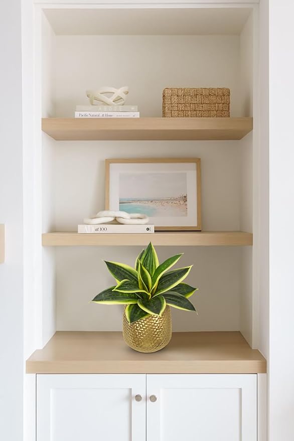 Hollyone Artificial Snake Plants 9" Faux Agave Succulent Plant Potted in Gold Metal Pot Fake Sansevieria Aloe Tropical Plant for Desk Modern Office Home Bathroom Indoor Outdoor Decor