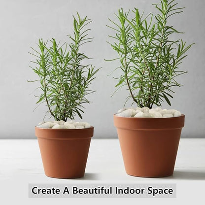 White Pebbles for Indoor Plants, Natural Polished River Rocks, Small Decorative Stones for Planters Vase Fish Tank Aquariums Landscaping Garden, 5lbs