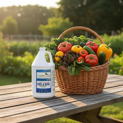 GS Plant Foods Liquid Fish & Kelp Fertilizer (1 Gallon) – Organic Material Review Institute Listed Natural Plant Food for Home Gardens, and Vegetables