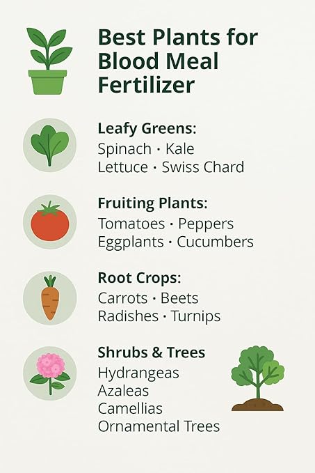 𝐁𝐄𝐒𝐓𝐒𝐄𝐋𝐋𝐄𝐑 Organic Blood Meal Fertilizer by Gardenera - 12-0-0 NPK - All-Natural Plant Food Source of Nitrogen for Organic Gardening, Flowers, Vegetables, Trees & Shrubs [12 OZ]