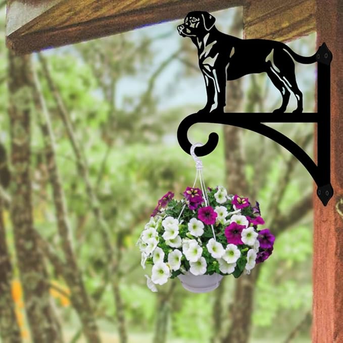 peacoblue Iron Plant Hangers Hooks for Outdoor Indoor Hanging Plants Flower Fern Pots Lantern Bird Feeder Wind Chimes, 12"x16" Weather Resistant Metal Wall Holder for Porch Garden Farmhouse(Labrador)