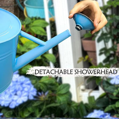 Metal Watering Can, One Gallon Watering Cans Stainless Steel for Outdoor Indoor Garden Plants Watering (Stainless Steel Handle Blue)