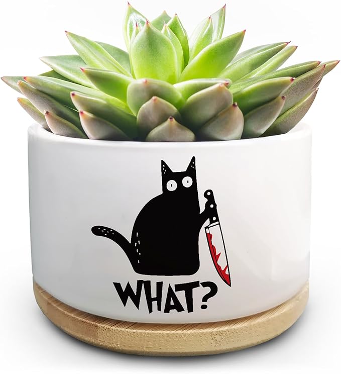 Funny Black Cat Plant Pot for Succulent, Cactus Flower Planter for Indoor Plants, Unique Succulents Pots with Drainage, Cats Owner Gifts, Home Desk Decor Planter Gift for Cat Lover (No Plants)