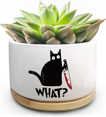 Funny Black Cat Plant Pot for Succulent, Cactus Flower Planter for Indoor Plants, Unique Succulents Pots with Drainage, Cats Owner Gifts, Home Desk Decor Planter Gift for Cat Lover (No Plants)