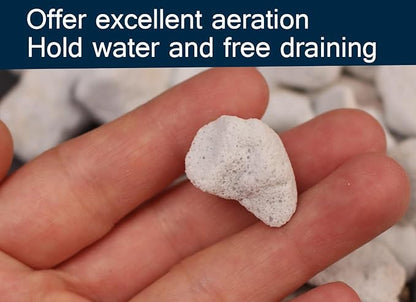 20 QT Professional Grade Horticultural Organic Perlite (20 QT, Large Size - Perlite)