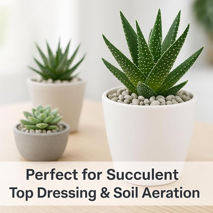 Horticultural Pumice for Plants, Natural Pumice Stone Soil Amendment, 3/8-1/4 inch, Made in USA (15 quarts - 13.5 lbs)