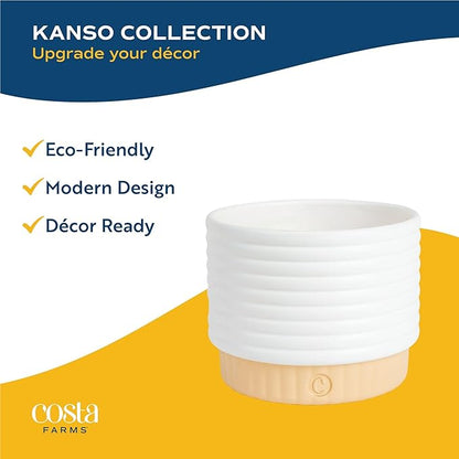 Costa Farms Live Indoor Plant Bundle in Decorative Pots, Easy to Maintain, Air Purifying Indoor Houseplants, Assorted Varieties, Room or Office Decor, House Warming Gift, 8-12 Inches Tall, Pack of 2