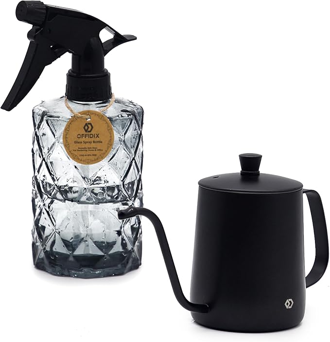 OFFIDIX Watering Can for Indoor Plants,Long Spout Metal Stainless Steel 21 oz/600 ml Watering Can with 14 oz/400ml Glass Plant Mister Spray Bottle for Plant Bonsai