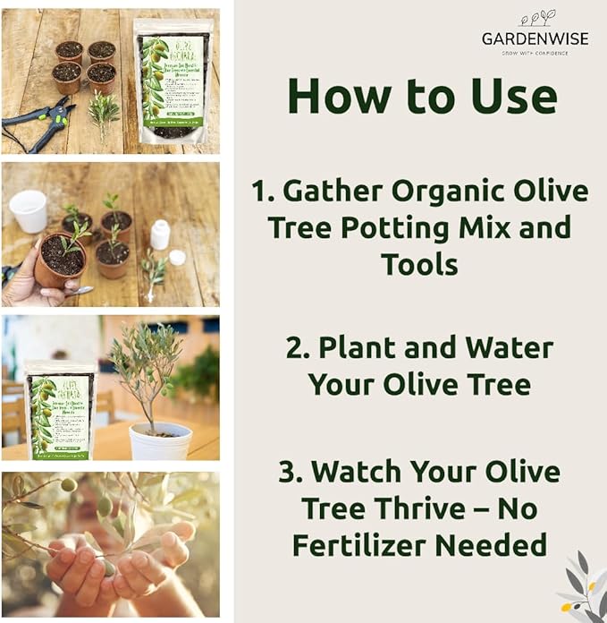 Organic Olive Tree Potting Mix – Fast-Draining, Nutrient-Rich Soil for Indoor & Outdoor Olive Trees – Mediterranean Plant Care – Long-Lasting Formula (5 QUARTS)