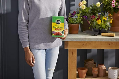 Miracle-Gro All Purpose Plant Food Plant Fertilizer (6 Pack), 3 lb