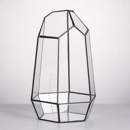 NCYP Geometric Glass Terrarium Planter for Succulent, Small Cacti, Black Irregular Opened Container Pot, Indoor Home Garden Office Tabletop Decor, 6.5" x 5.7" x 9.8" (No Plants, No Door)