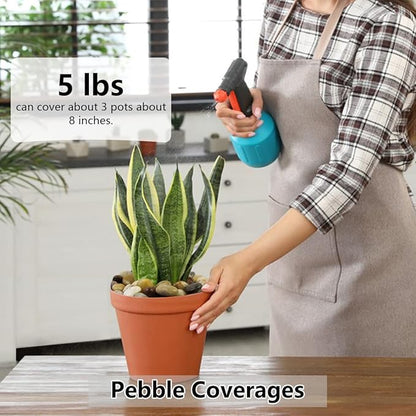 Pebbles for Indoor Plants, Natural Polished River Rocks, Small Decorative Mixed Color Stones for Planters Vase Fish Tank Aquariums Landscaping Garden, 5lbs