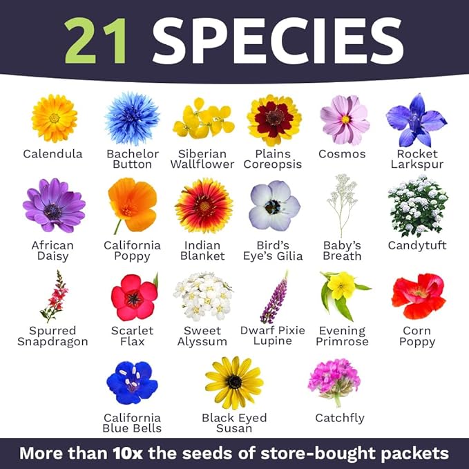 Bulk Wildflower Seeds Annual Quick Blooming Mix - 1/4 Pound Bag - Over 30,000 Open Pollinated Seeds