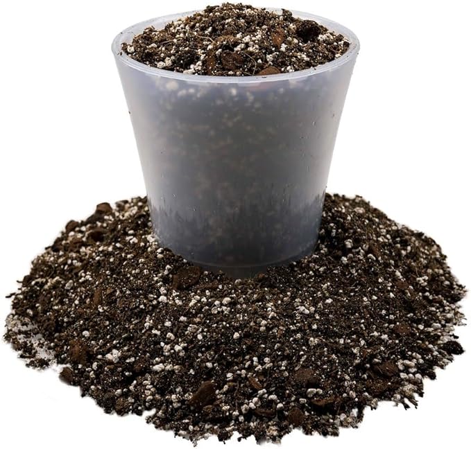 Gardenera Premium Dahlia Potting Soil Mix - Ideal for Growing Vibrant and Healthy Dahlias - 1 Quart