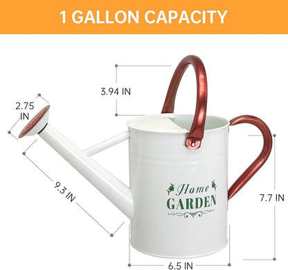 Metal Watering Can for Outdoor Plants, Galvanized Steel Watering Can with Removable spout, 1 Gallon,Perfect Home & Garden Décor White