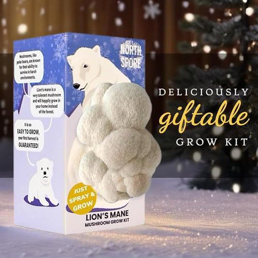 North Spore Organic Lion's Mane Mushroom Spray & Grow Kit (4 lbs) | USDA-Certified Organic, Non-GMO, Beginner-Friendly & Easy to Use | Handmade in Maine, USA | Limited Edition Holiday Polar Bear Kit