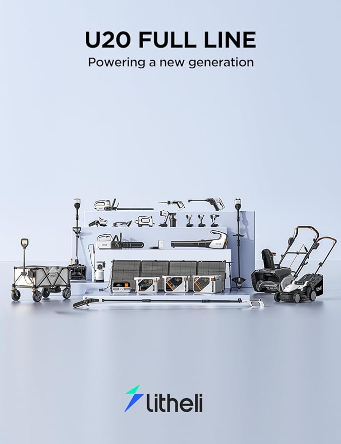 Litheli 20V Pole Saw Battery Powered for Tree Trimming, 8'' Electric Cordless Pole Chain Saw with 2.5Ah Battery for Tree Trimming 28ft/s Cutting Speed for Branch Cutting, Trimming, Pruning