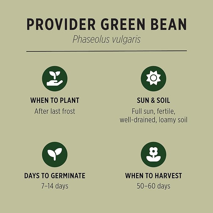 Banyan Botanicals Organic Green Bean Seeds – Provider Heirloom Green Bean Seeds – Early-Producing, Tender, and Crisp – 100 Count – Open Pollinated Non-GMO Easy to Grow