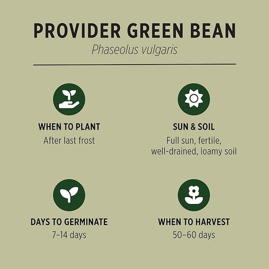 Banyan Botanicals Organic Green Bean Seeds – Provider Heirloom Green Bean Seeds – Early-Producing, Tender, and Crisp – 100 Count – Open Pollinated Non-GMO Easy to Grow