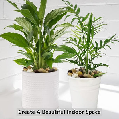 Pebbles for Indoor Plants, Natural Polished River Rocks, Small Decorative Mixed Color Stones for Planters Vase Fish Tank Aquariums Landscaping Garden, 5lbs