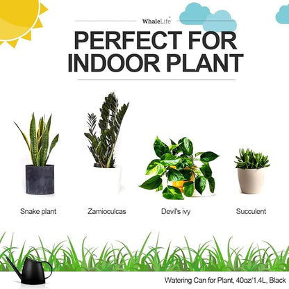 WhaleLife Indoor Watering Can for House Bonsai Plants (1.4L, Black)