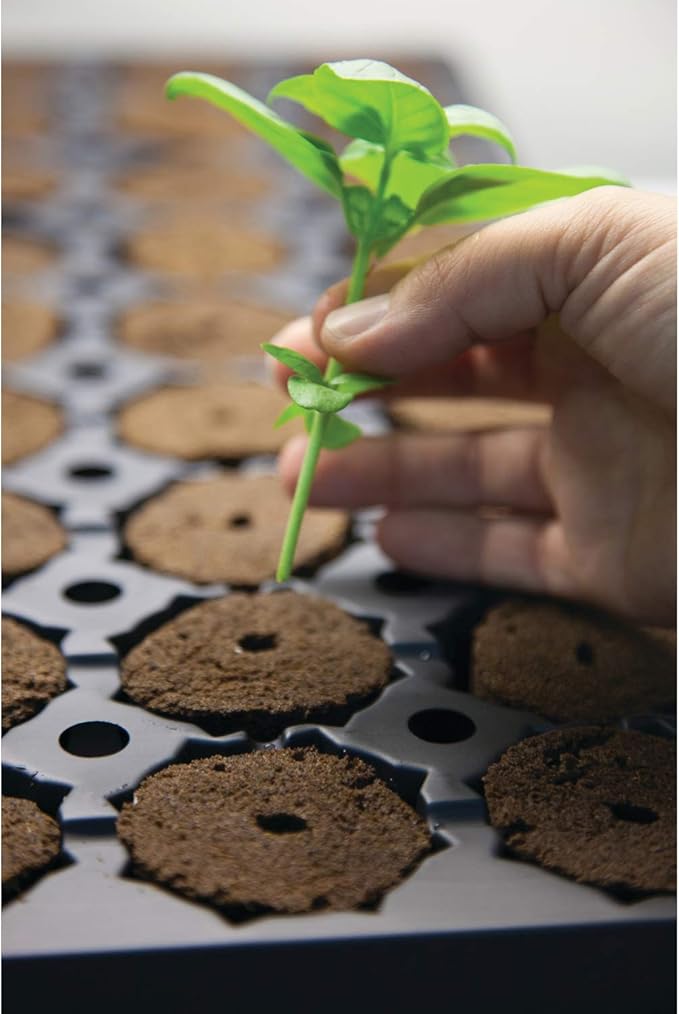 General Hydroponics GH3253 Rapid Rooter Replacement Plugs 50 Count